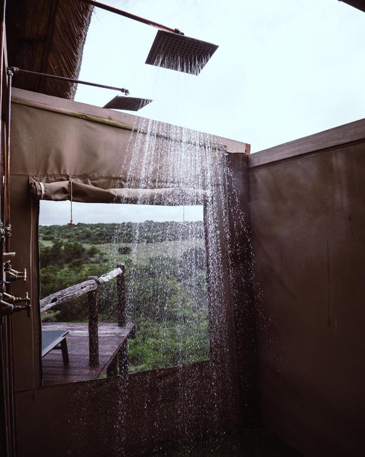 Bush Lodge - Amakhala Game Reserve Exterior foto