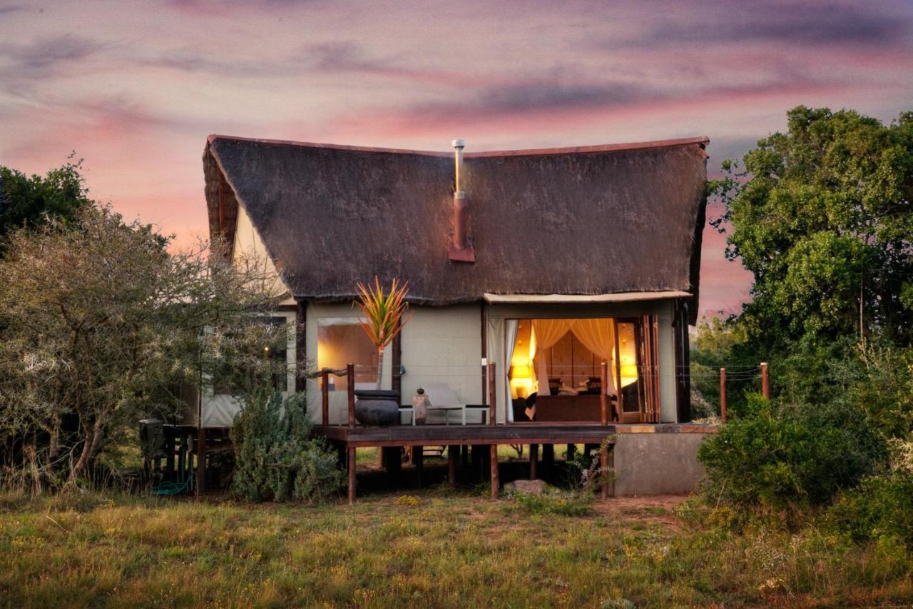 Bush Lodge - Amakhala Game Reserve Exterior foto