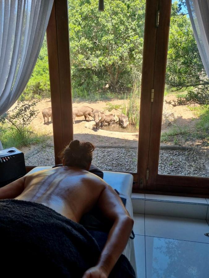 Bush Lodge - Amakhala Game Reserve Exterior foto