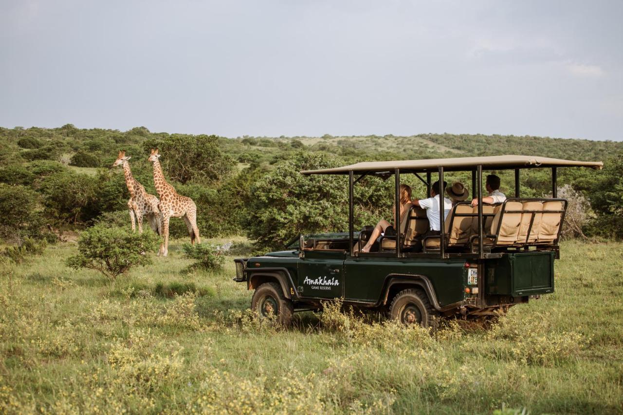 Bush Lodge - Amakhala Game Reserve Exterior foto