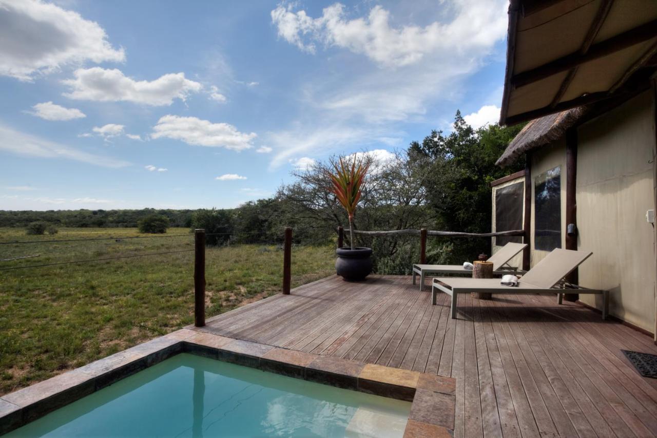 Bush Lodge - Amakhala Game Reserve Exterior foto