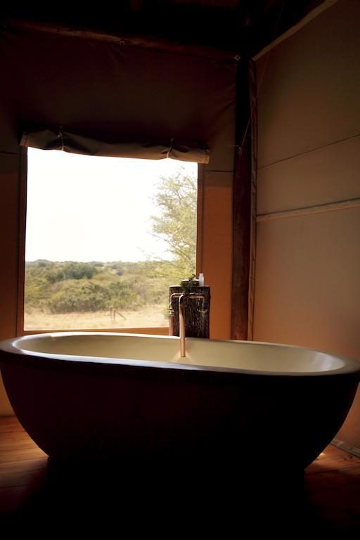 Bush Lodge - Amakhala Game Reserve Exterior foto