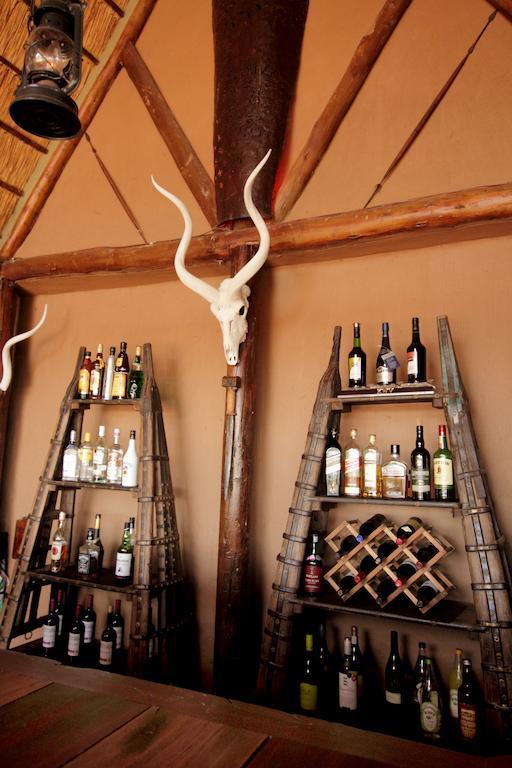 Bush Lodge - Amakhala Game Reserve Exterior foto