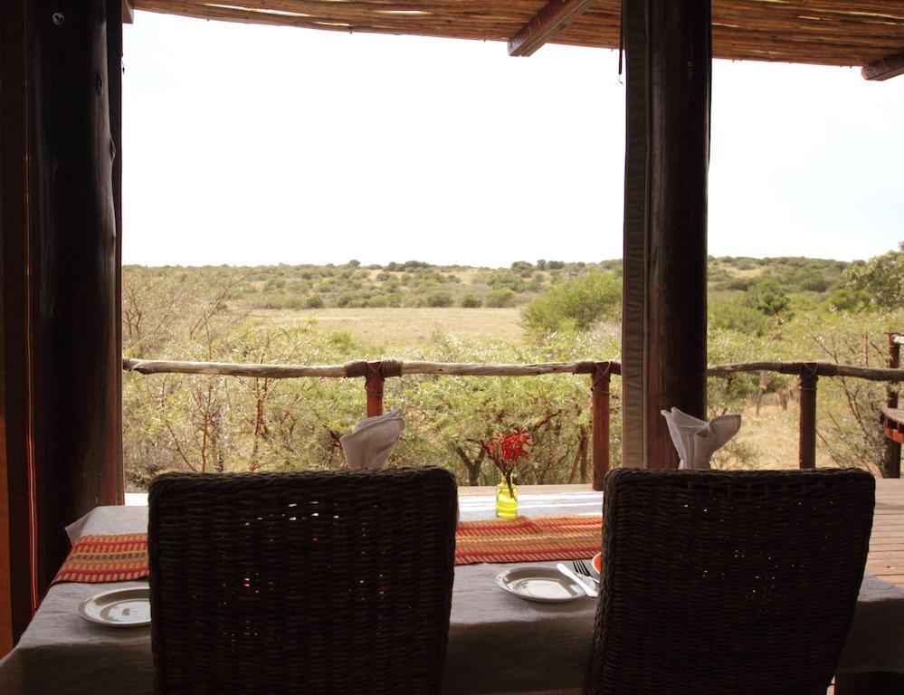 Bush Lodge - Amakhala Game Reserve Exterior foto