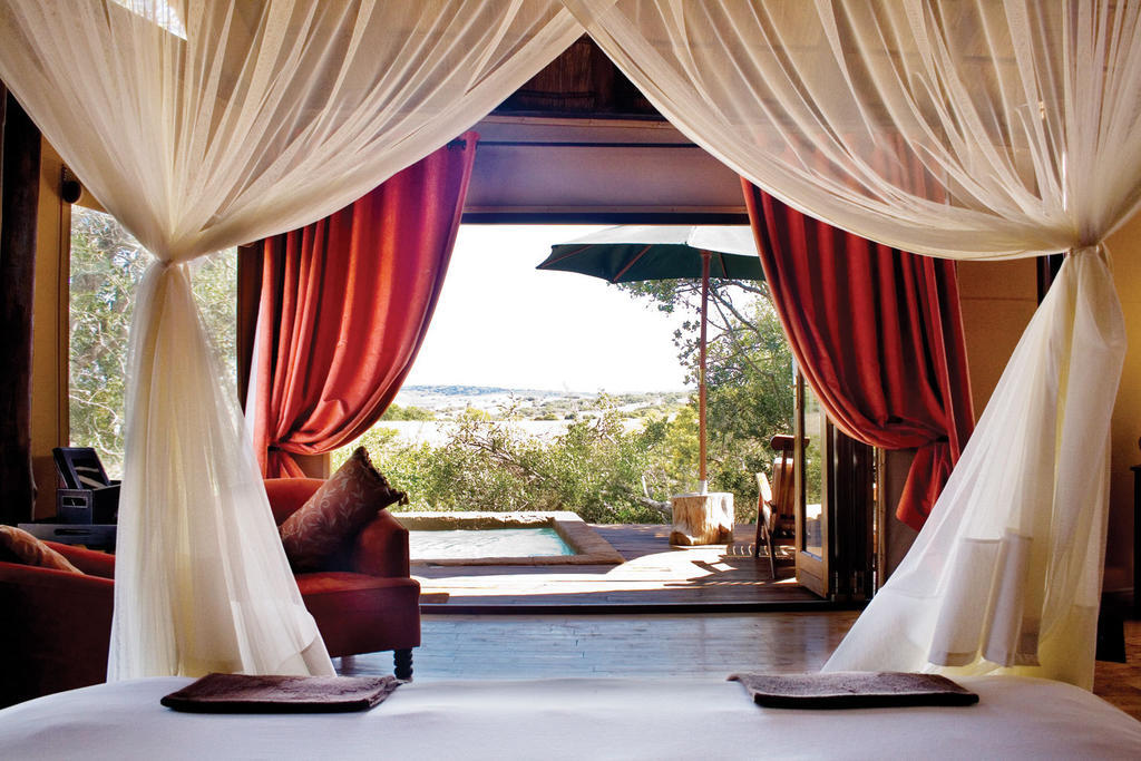 Bush Lodge - Amakhala Game Reserve Zimmer foto