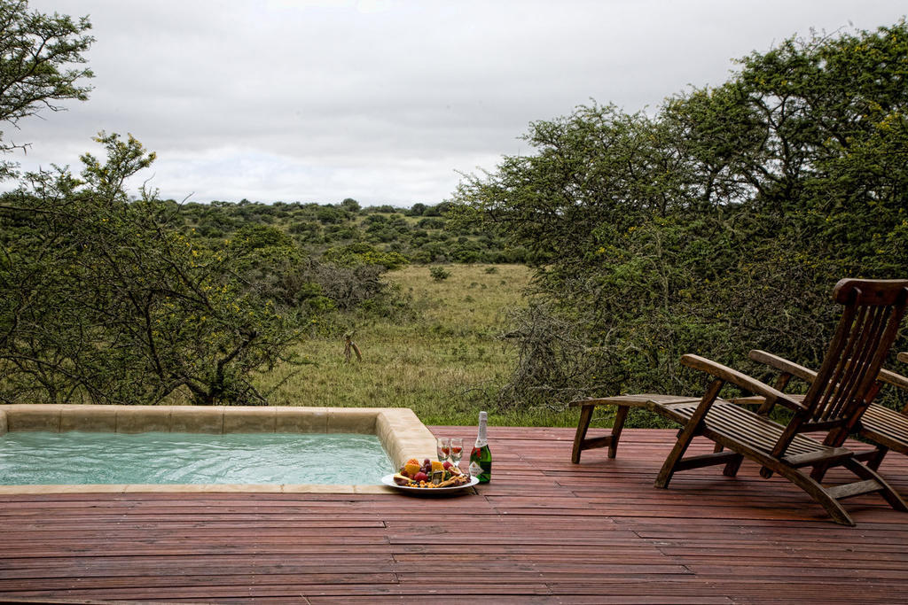 Bush Lodge - Amakhala Game Reserve Zimmer foto