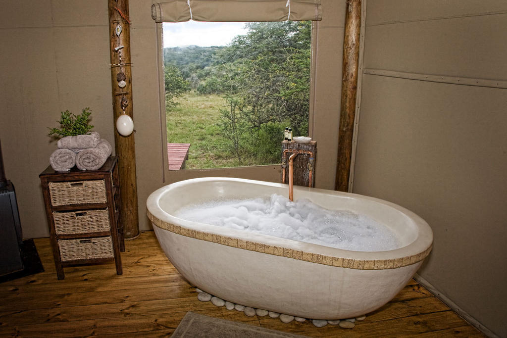 Bush Lodge - Amakhala Game Reserve Zimmer foto